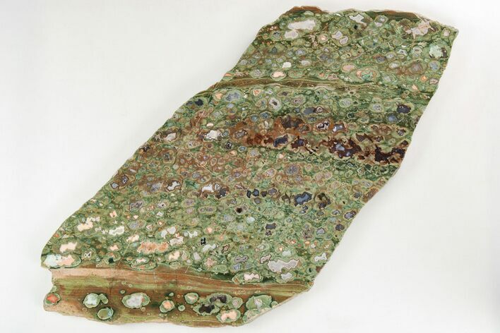 Polished Rainforest Jasper (Rhyolite) Slab - Australia #208133
